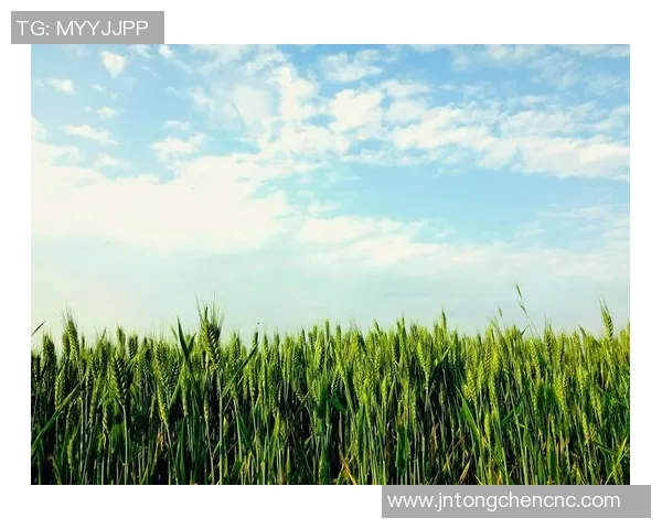 萨林杰的文学世界与心灵探索：从麦田里的守望者看青春的迷茫与追寻