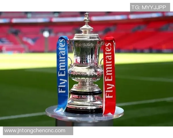 西布罗对阵利兹联比赛结果分析及精彩瞬间回顾