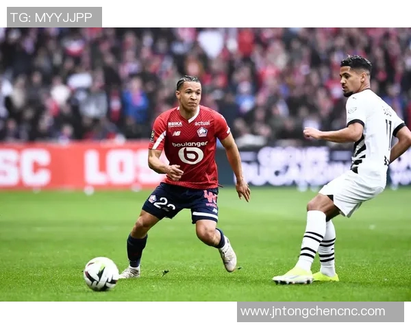 奥尔良与布雷斯特激战正酣比分揭晓精彩瞬间回顾 奥尔良与布雷斯特激战正酣比分揭晓精彩瞬间回顾