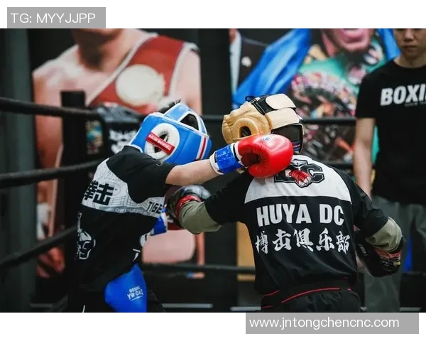 柳海龙与杨晓靖的巅峰对决谁将成为新一代的拳坛霸主 柳海龙与杨晓靖的巅峰对决谁将成为新一代的拳坛霸主